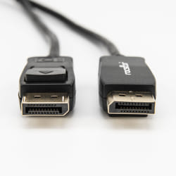 Rocstor Y10C234-B1 DisplayPort cable 1 m Black