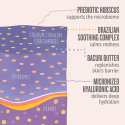 Sol de Janeiro Delícia Drench Body Butter - Additional view 5
