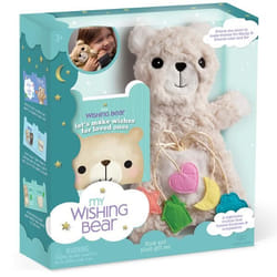 Ann Williams My Wishing Bear