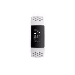 Fitbit Charge 3 Special Edition OLED Wristband activity tracker Graphite, White