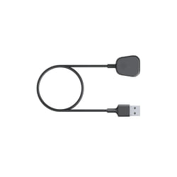 Fitbit FB-168RCC Smart Wearable Accessories Charging cable Black