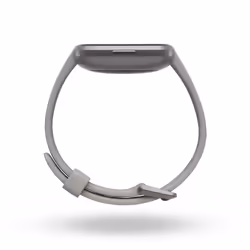 Fitbit Versa 2 3.55 cm (1.4") AMOLED 40 mm Digital 300 x 300 pixels Touchscreen Black, Grey Wi-Fi