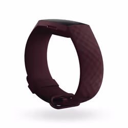 Fitbit Charge 4 Wristband activity tracker 3.96 cm (1.56") Purple