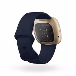 Fitbit Versa 3 AMOLED Digital Touchscreen Gold Wi-Fi GPS (satellite)