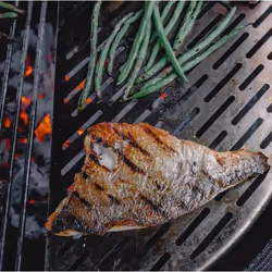 Kamado Joe KJ-HSSCGFV outdoor barbecue/grill accessory Grate