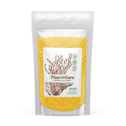 Candelilla Wax Pellets 4 oz. 100% Pure Natual Food Grade Vegan Wax For DYI Lip Balm  Soap and Candle Making  Creams and Lotions. Great For Skin  Face