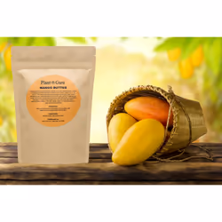 Shea  Mango and Cocoa Butter 1 lb. Bars Variety Bundle Pack - 100% Pure Natural Unrefined - Ideal Moisturizer For Dry Skin  Body  Face And Hair Growth