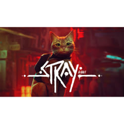 Take-Two Interactive Stray Standard Simplified Chinese, Traditional Chinese, German, Dutch, English, Spanish, French, Italian, Japanese, Korean, Portuguese, Russian Nintendo Switch