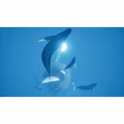 505 Games ABZU Xbox One Standard