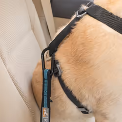 Kurgo Direct To Seat Belt Tether Blue and Black Cat Dog Car Safety Harnesses