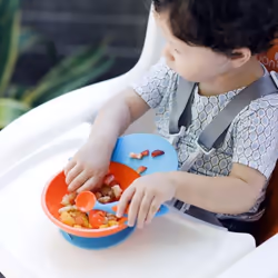 Tomy Boon Catch Bowl 9 month(s) Blue, Orange