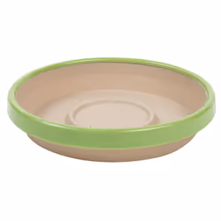 Bloem Terra Two-Tone Saucer 8"""" Taupe w/Honey Dew (STT0835-25)