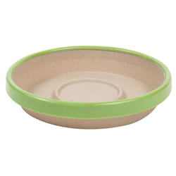 Bloem Terra Two-Tone Saucer 8"""" Taupe w/Honey Dew (STT0835-25)