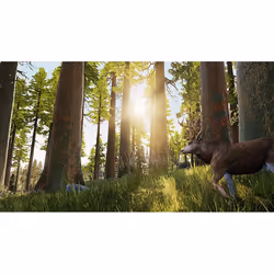 Bigben Interactive Hunting Simulator, PlayStation 4, T (Teen)