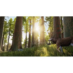 Bigben Interactive Hunting Simulator PlayStation 4