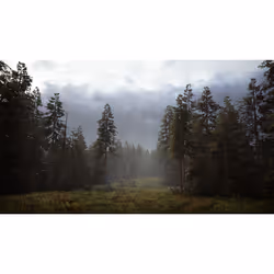 Bigben Interactive Hunting Simulator 2 Standard PlayStation 4