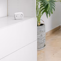 Carbon Monoxide Alarm and Detector - FA6813 10-Year Sensor Life CO Alarm for Home with AA Batteries - Travel, Portable Carbon Monoxide Detector - CO