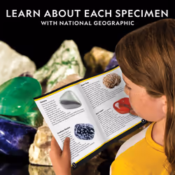 NATIONAL GEOGRAPHIC Rock & Mineral Collection - Rock Collection Box for Kids  15 Gemstones and Crystals for Kids  Geology for Kids  Crystal Collection