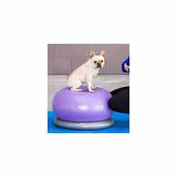FitPAWS Pet Balance Ball TRAX Donut 55cm Purple Inflatable Fitness Training