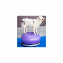 FitPAWS Pet Balance Ball TRAX Donut 55cm Purple Inflatable Fitness Training