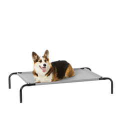 Amazon Basics cooling Elevated Dog Bed with Metal Frame  Medium  43 x