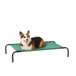 Amazon Basics Cooling Elevated Pet Bed Medium (43 x 26 x 7.5 Inches) Green