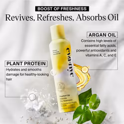 Eva NYC Freshen Up Invisible Dry Shampoo with Argan Oil & Rice Starch for All Hair Types  Non-Toxic  GMO-Free Cleansing Formula