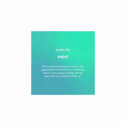 Glass Cleaner Spray, Mint, 828 ml (Pack of 1)