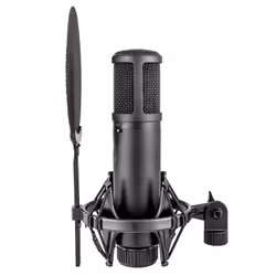 sE Electronics sE2200 Black Studio microphone - Additional view 2