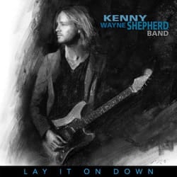 ImportCDs Lay It on Down Vinyl Americana