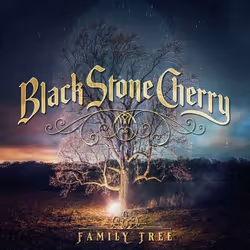 ImportCDs Family Tree, Pop rock, CD, Physical media, Adult, 1 discs, 19/04/2018