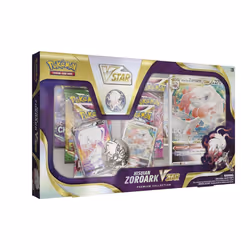 Pokémon Hisuian Zoroark, Card Game, 6 yr(s)