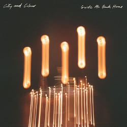 ImportCDs Guide Me Back Home CD Americana
