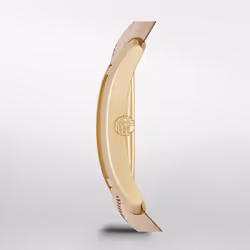 NEW Burberry BU9509 Pioneer Gold Dial Gold Ion-plated Ladies Watch UK SELLER