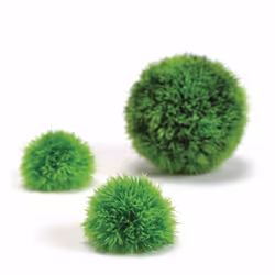 Biorb Aquatic Topiary Moss Balls, Pack of 3, Green