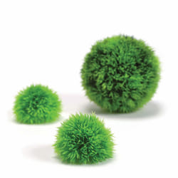 Biorb Aquatic Topiary Moss Balls, Pack of 3, Green