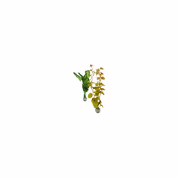Biorb Silk Plant, Medium, Green