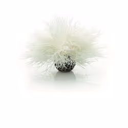biOrb Sea Lily, White
