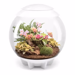 biOrb AIR 60 Litre Automatic Terrarium in White with LED Lighting
