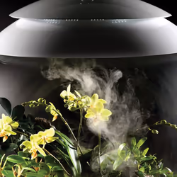 biOrb AIR 60 Litre Automatic Terrarium in White with LED Lighting - Additional view 4