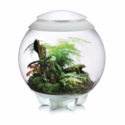 biOrb AIR 60 Litre Automatic Terrarium in White with LED Lighting - Additional view 6