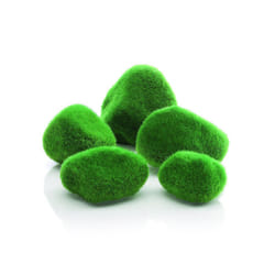 Oase Biorb Pebble Set, Moss Bewachsen