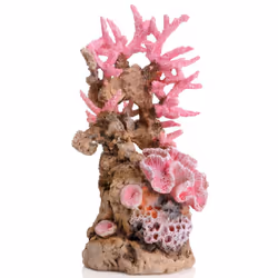 Sam Baker Ornamental Reef Pink Medium
