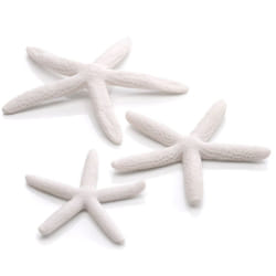 Sam Baker Ornamental Starfish Pk3 White