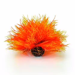biOrb Orange Flame Sea Lily Aquarium Decoration