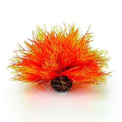 biOrb Orange Flame Sea Lily Aquarium Decoration