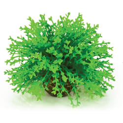 biOrb Topiary Ball, Green