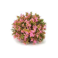 biOrb Pink Topiary Ball Aquarium Decoration