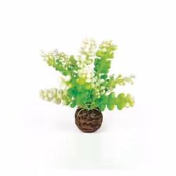 biOrb Caulerpa Green Aquarium Decoration