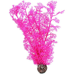 biOrb Sea Fan Medium, Pink